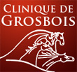 Clinique Grosbois est un partenaire de la clinique equine de chantilly