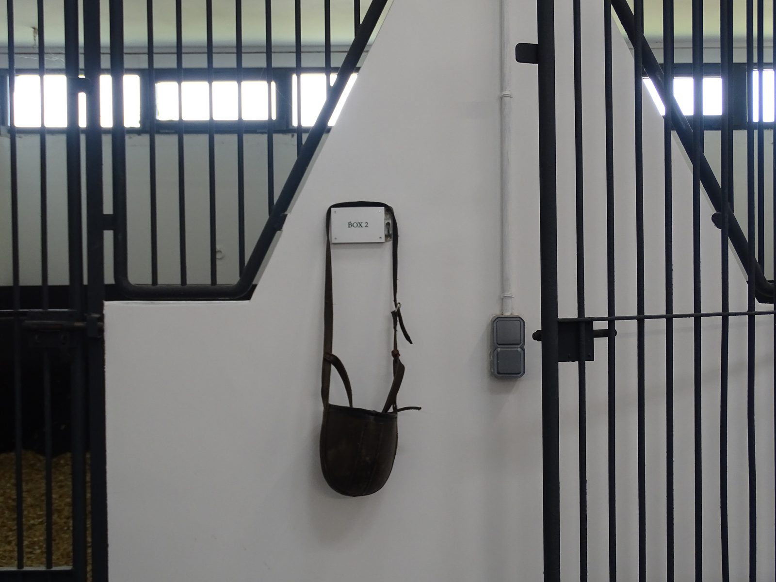 Box d'hospitalisation du cabinet veterinaire equin