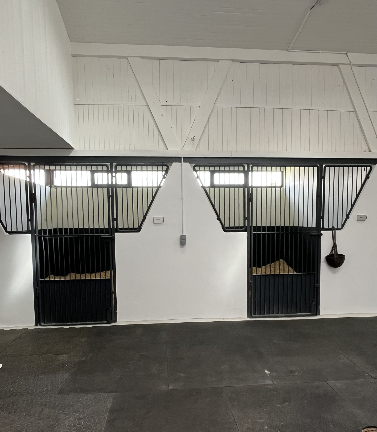 Box d'hospitalisation du cabinet veterinaire equin