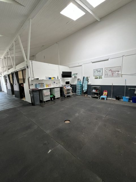 Salle d'examen du cabinet veterinaire equin de Gouvieux