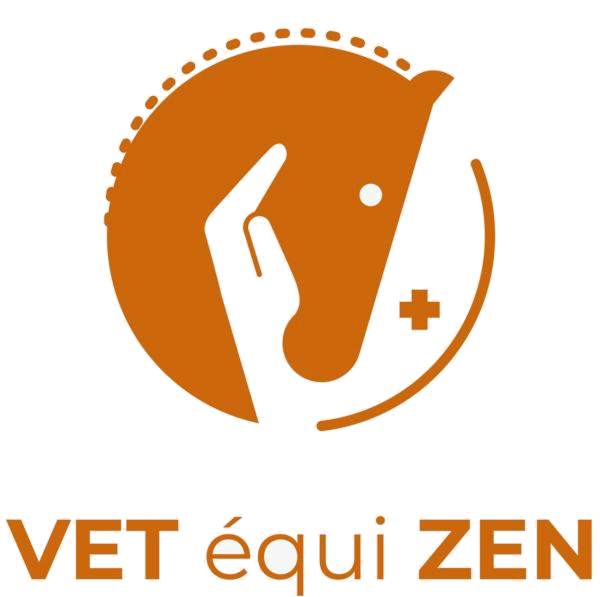 Vet Equi Zen, Dr Thibault Vila veterinaire equin